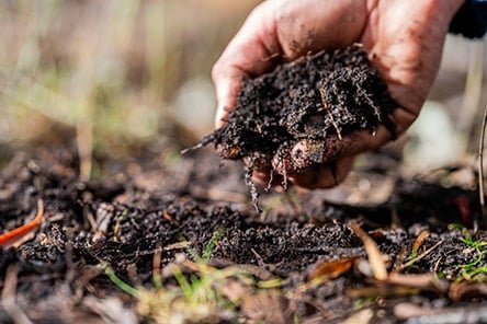 adobestock_618414817