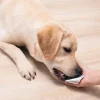 adobestock_339833590