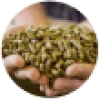 fc_cat_c49_04_optimizedanneed